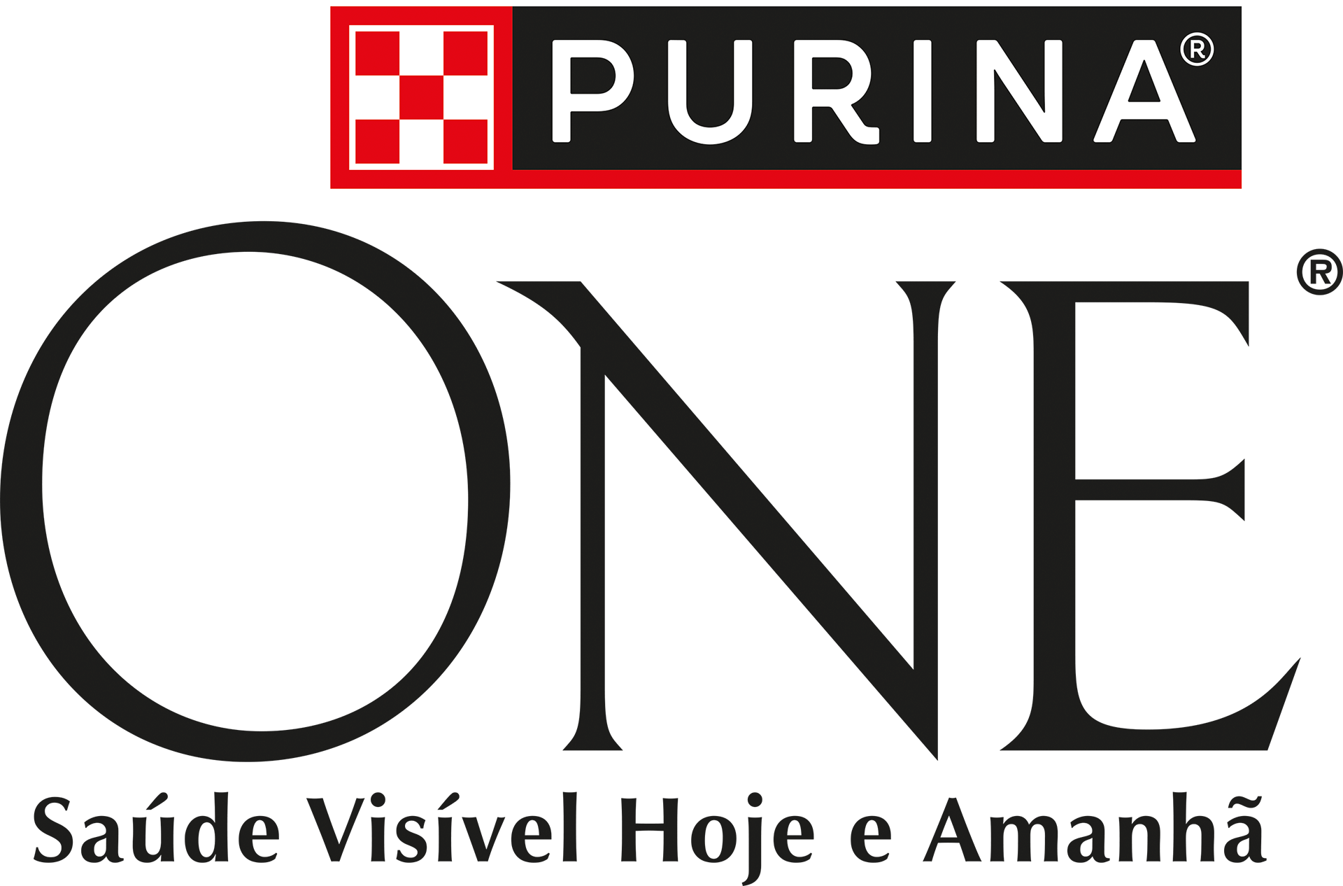 Saiba porque é que os gatos mordem | PURINA